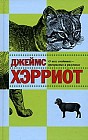 О всех созданиях — прекрасных и разумных