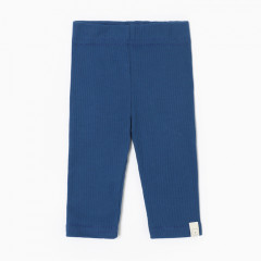 Легинсы детские Blueberry