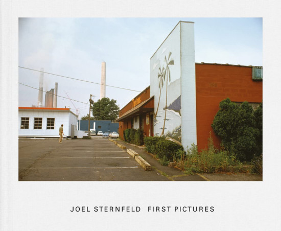Joel Sternfeld. First Pictures