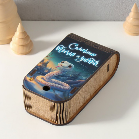 Шкатулка-книга «Змея. Семейного тепла»
