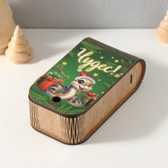 Шкатулка-книга «Змея. Чудес»