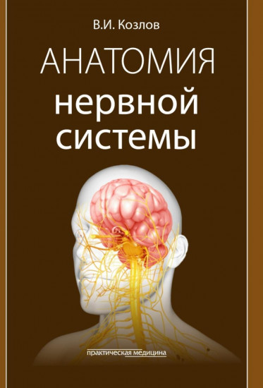 Анатомия нервной системы