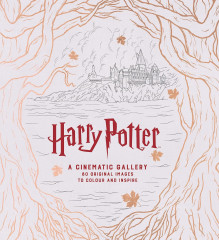 Harry Potter. A Cinematic Gallery