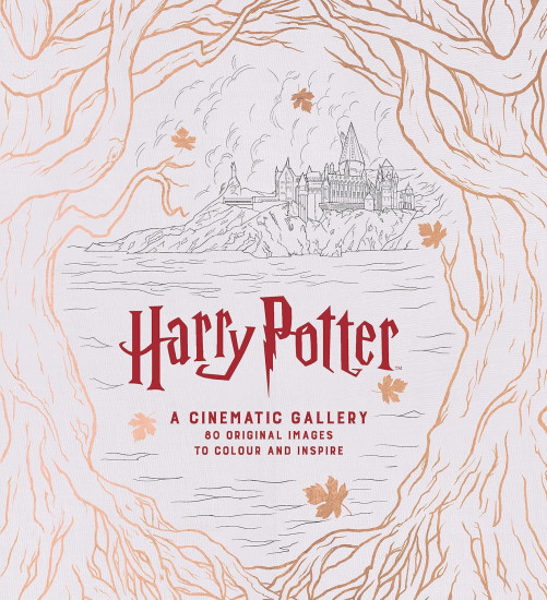 Harry Potter. A Cinematic Gallery
