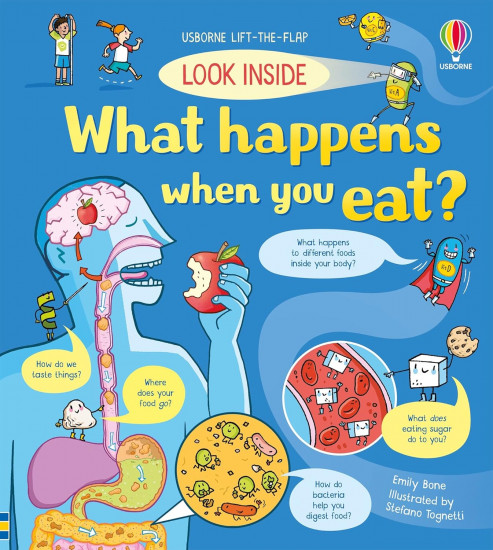 Look Inside What Happens When You Eat?