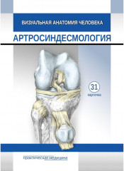 Артросиндесмология. 31 карточка