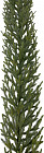 Гирлянда хвойная премиум «Юж­ная»