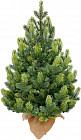 Ель искусственная в мешочке премиум «Кремлевская»