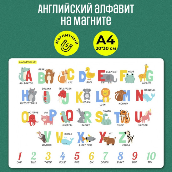 Английский алфавит на магните