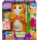 Игривый котенок Дэйзи
