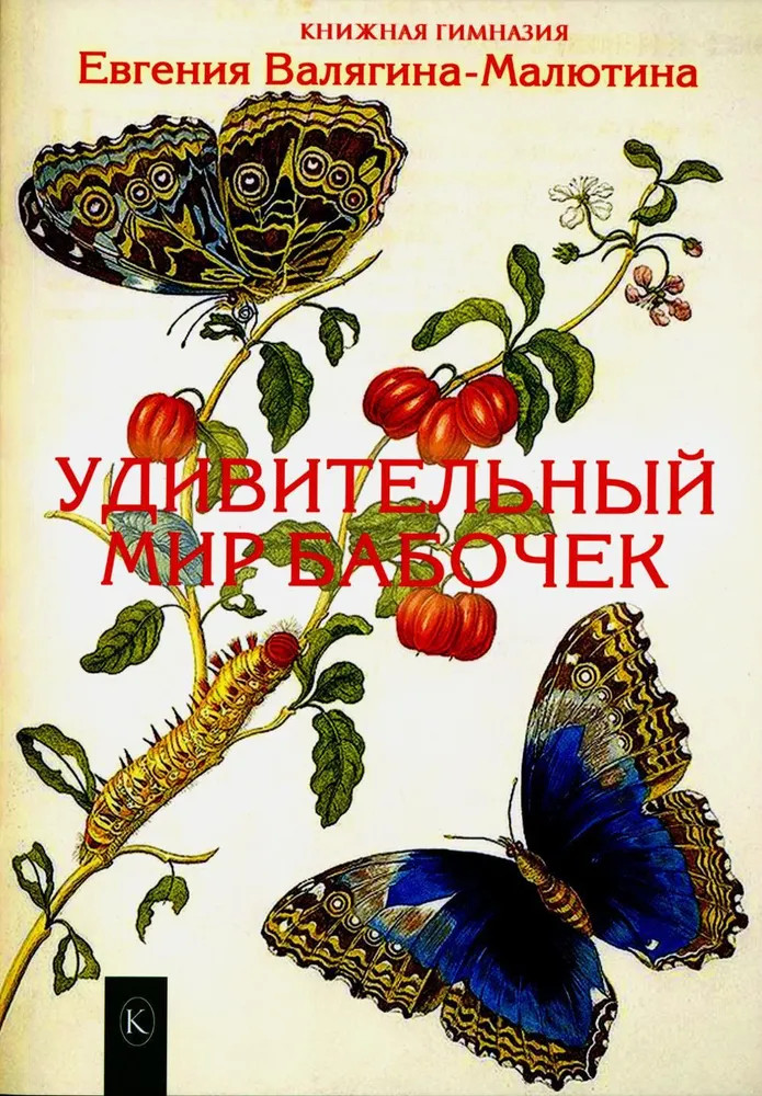 Удивительный мир бабочек | Книжная гимназия