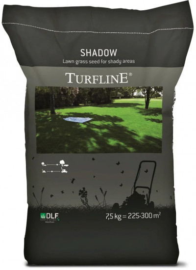 Семена газонной травы «Shadow»