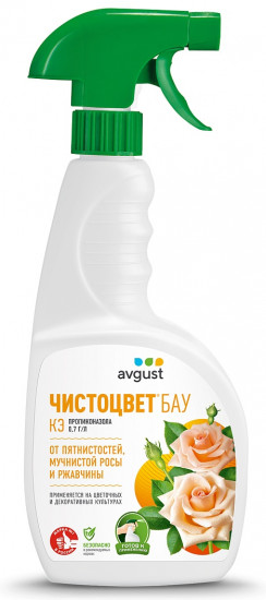 Чистоцвет от болезней