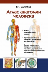 Атлас анатомии человека