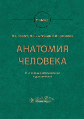 Анатомия человека