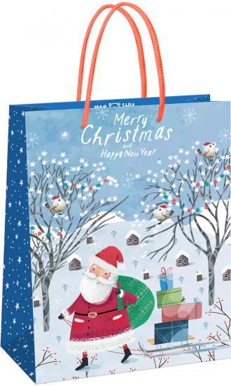 Пакет подарочный «Christmas»