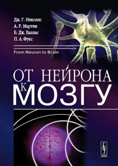 От нейрона к мозгу