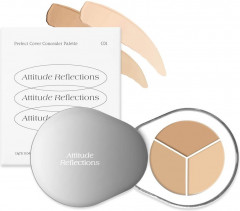 Палетка корректоров для макияжа «Perfect Cover Concealer Palette», оттенок C01