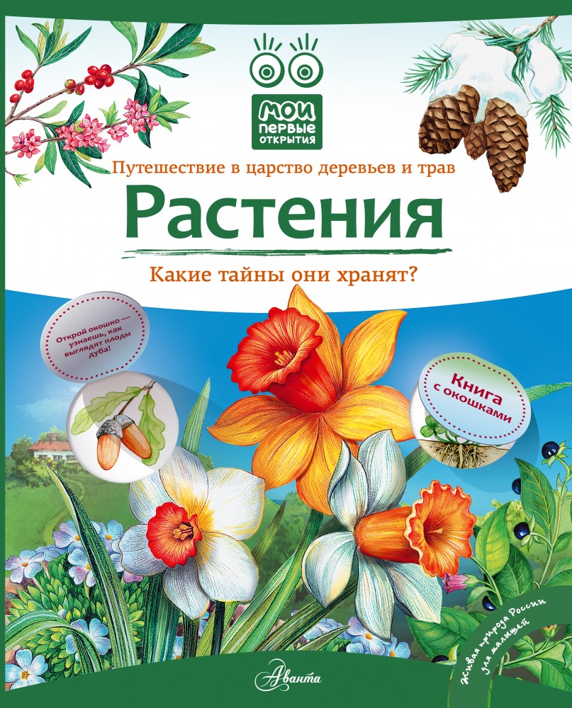 Растения | Мои первые открытия