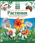Растения