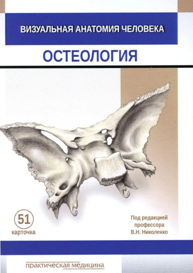Визуальная анатомия человека. Остеология