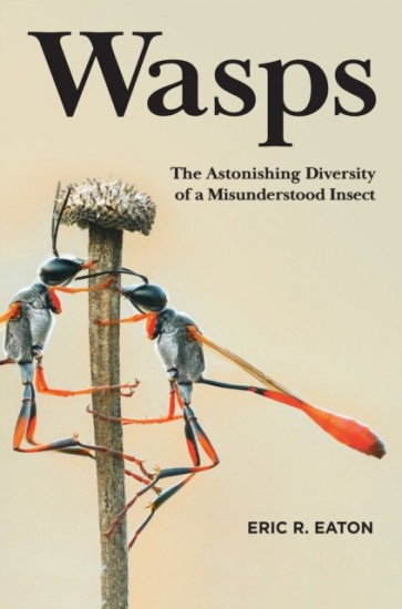 Wasps. The Astonishing Diversity of a Misunderstood Insect