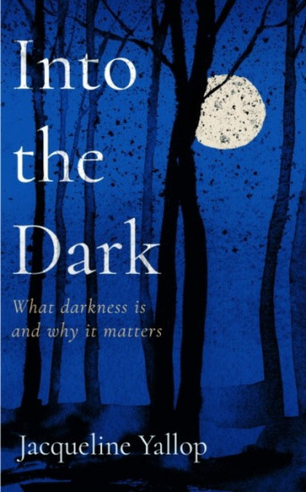 Into the Dark. What Darkness is and Why It Matters