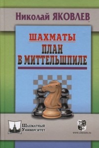 Шахматы. План в Миттельшпиле