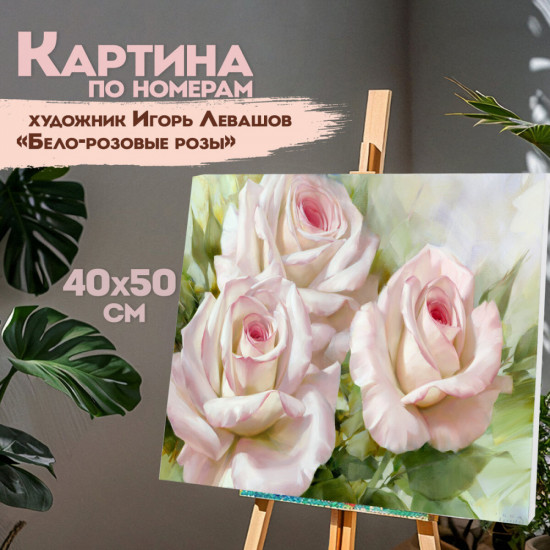 Картина по номерам «Бело-розовые розы»