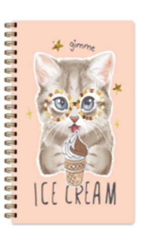 Блокнот на спирали «Kitty ice cream»