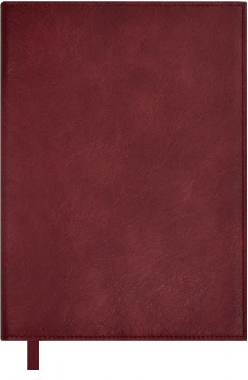 Ежедневник недатированный