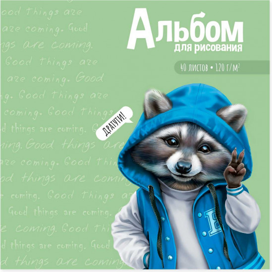 Альбом для рисования «Милый енот»