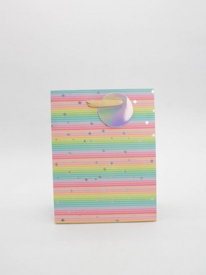 Пакет подарочный «Rainbow Gift»