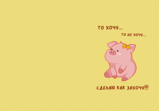 Обложка для паспорта «Сделаю как захочу!»