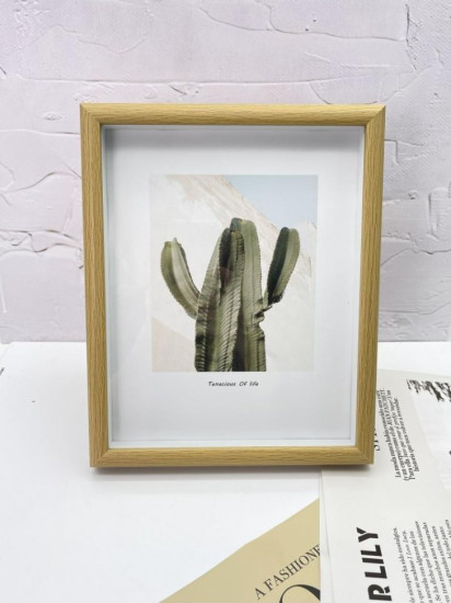 Фоторамка «Indoor plants»