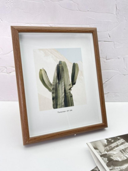 Фоторамка «Indoor plants»