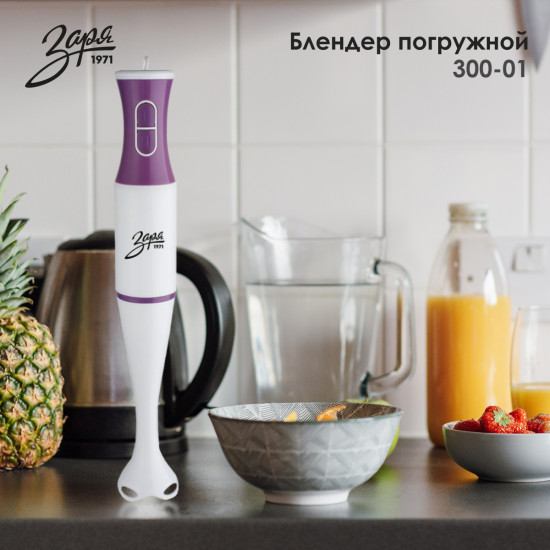 Блендер погружной Заря 300-01