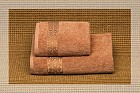 Полотенце махровое гладкокрашеное "Venezia" (Cleanelly, 50х90, цвет кофейный)