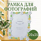 20 × 25 см