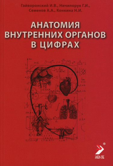 Анатомия внутренних органов в цифрах