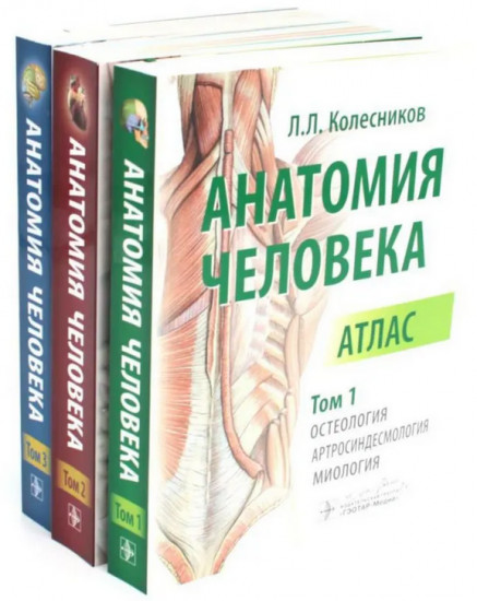Анатомия человека. Комплект из 3 книг