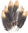 Набор перьев декоративных с золотым кончиком