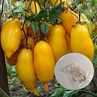 Коллекционные семена томата «Цыпочка»