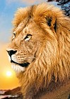 Пазл «Лев», 500 элементов