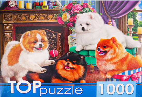 Пазл «Игривые шпицы»