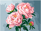 Картина по номерам «Цветущие пионы»