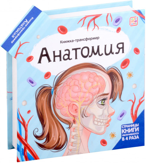 Книжка-трансформер. Анатомия
