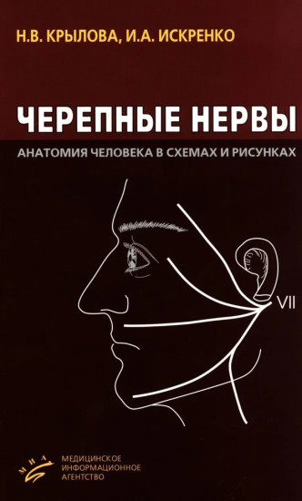 Черепные нервы: Анатомия человека в схемах и рисунках