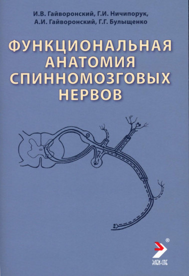 Функциональная анатомия спинномозговых нервов