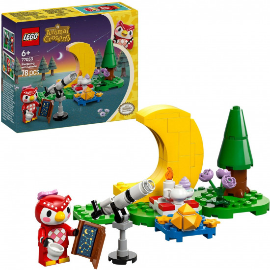 Конструктор LEGO® 77053 Изучение звезд с Селестой